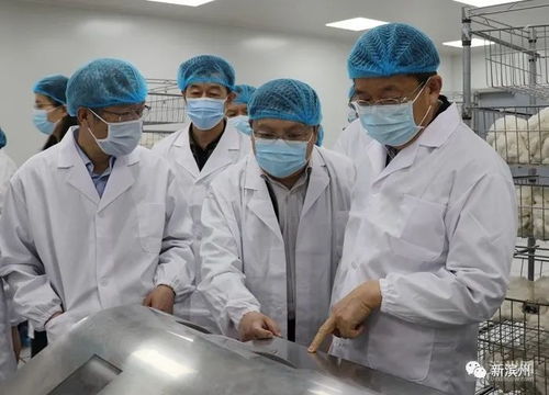濱州新建12年制學校，優質教育資源再擴容